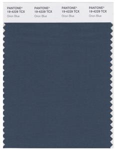 Pantone Smart 19-4229 TCX Color Swatch Card | Orion Blue 