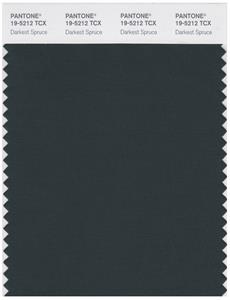 Pantone Smart 19-5212 TCX Color Swatch Card | Darkest Spruce 