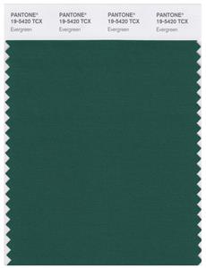 Pantone Smart 19-5420 TCX Color Swatch Card | Evergreen 