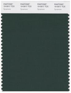 Pantone Smart 19-5917 TCX Color Swatch Card | Sycamore 