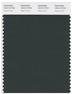 Pantone Smart 19-6110 TCX Color Swatch Card | Deep Forest 